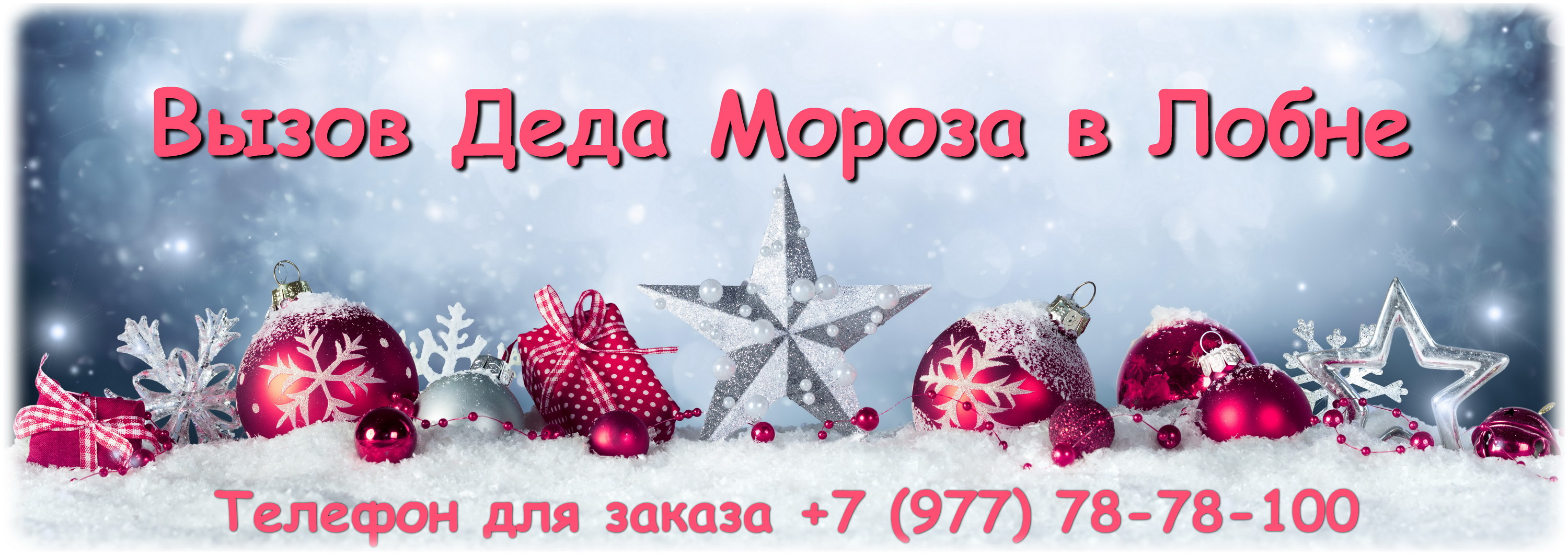 Дед Мороз Лобня - вызов на дом, в школу, детский сад.